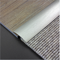 Carpet to Floor Transition Strips for Different Heights | 270CM 40MM