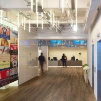 Polyflor Affinity 255 PUR Huckleberry Oak 9882