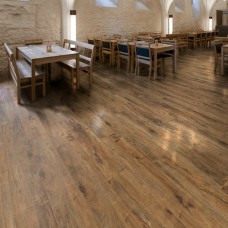 Polyflor Affinity 255 PUR Flamed Chestnut 9881