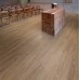 Polyflor Affinity 255 PUR Hazel Oak 9879 Polyflor Affinity 255 PUR Hazel Oak 9879