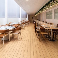 Polyflor Expona Bevel Line American Oak 2974