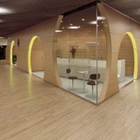 Polyflor Expona Bevel Line Blond Field Ash 2813