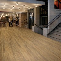 Polyflor Expona Bevel Line Enriched Variety Oak 2815