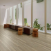 Polyflor Expona Commercial Grey Ash 4020 Polyflor Expona Commercial Grey Ash 4020
