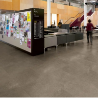 Polyflor Expona Commercial Warm Grey Concrete 5064