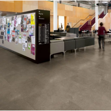 Polyflor Expona Commercial Warm Grey Concrete 5064