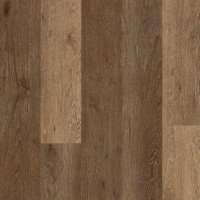 Polyflor Expona Commercial Cottage Oak 4116
