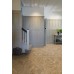 Polyflor Expona Commercial Everglade Oak Versailles 4127 Polyflor Expona Commercial Everglade Oak Versailles 4127