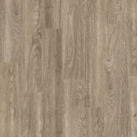 Polyflor Expona Commercial Light Elm 4034