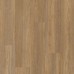 Polyflor Expona Commercial Natural Brushed Oak 4031 Polyflor Expona Commercial Natural Brushed Oak 4031