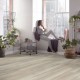 Polyflor Colonia