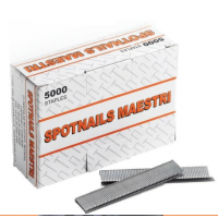 Maestri 66DC Staples 20mm
